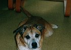 2001 07 22  I12 22 Nina 5